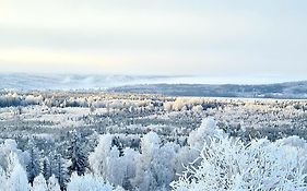 Utsikten -Exklusivt Nybyggt Timmerhus -Plintsberg.